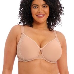 Elomi Lace Trim Bra - Cream